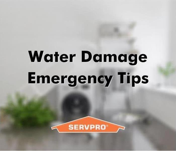 Flooded home in Tampa, Florida - water damage tips
